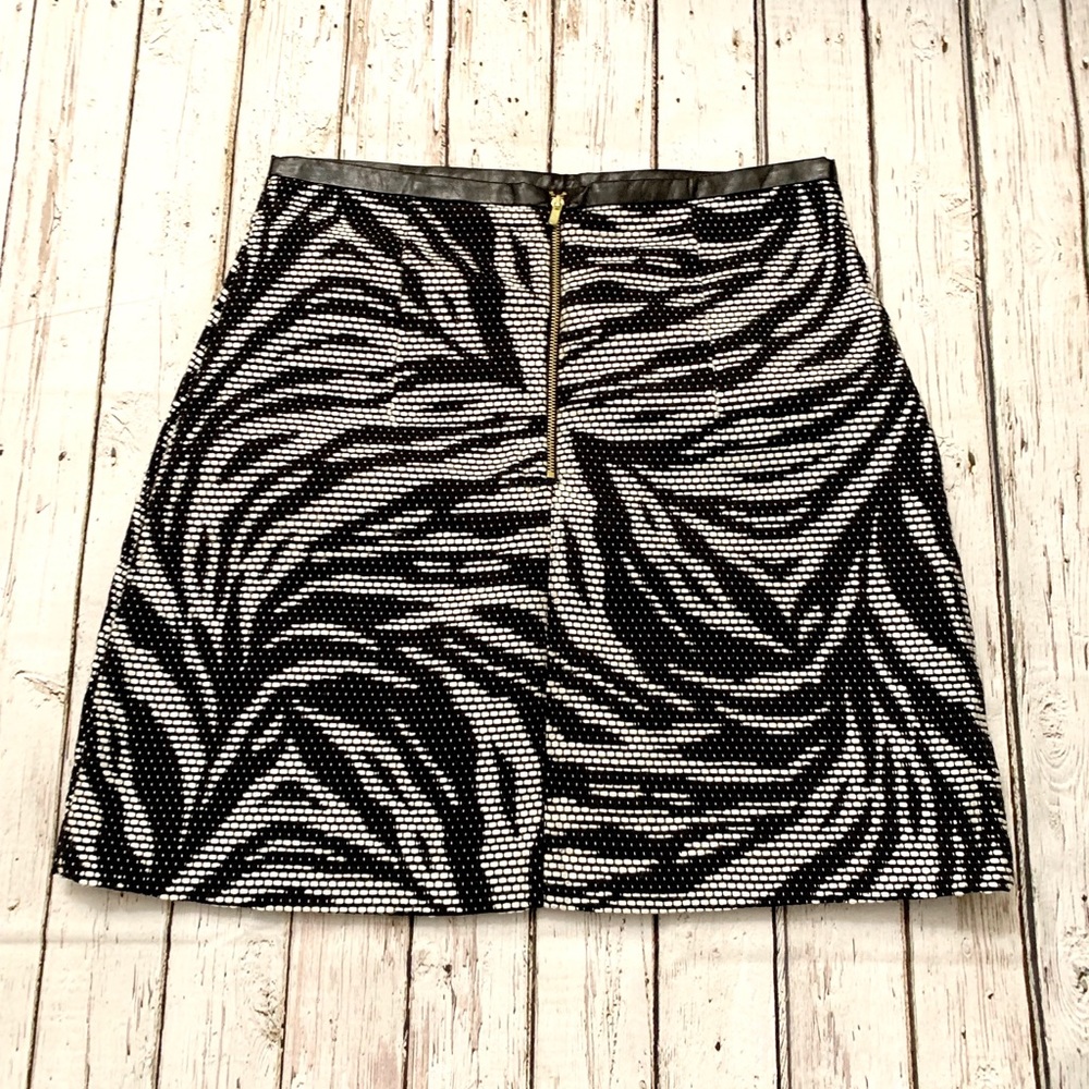 H&M Skirt